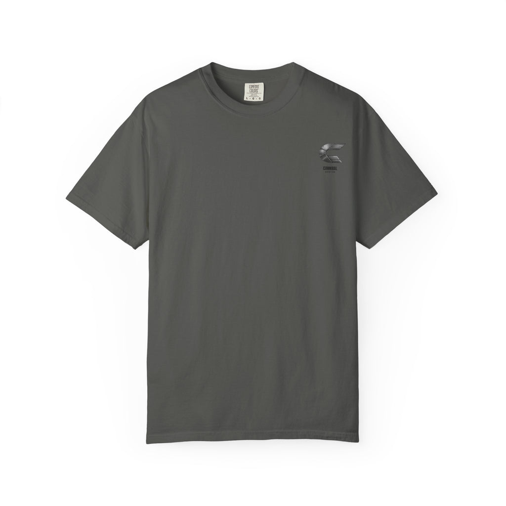 Heritage No. 04 — Douglas DC-3 · Golden Age of Flight